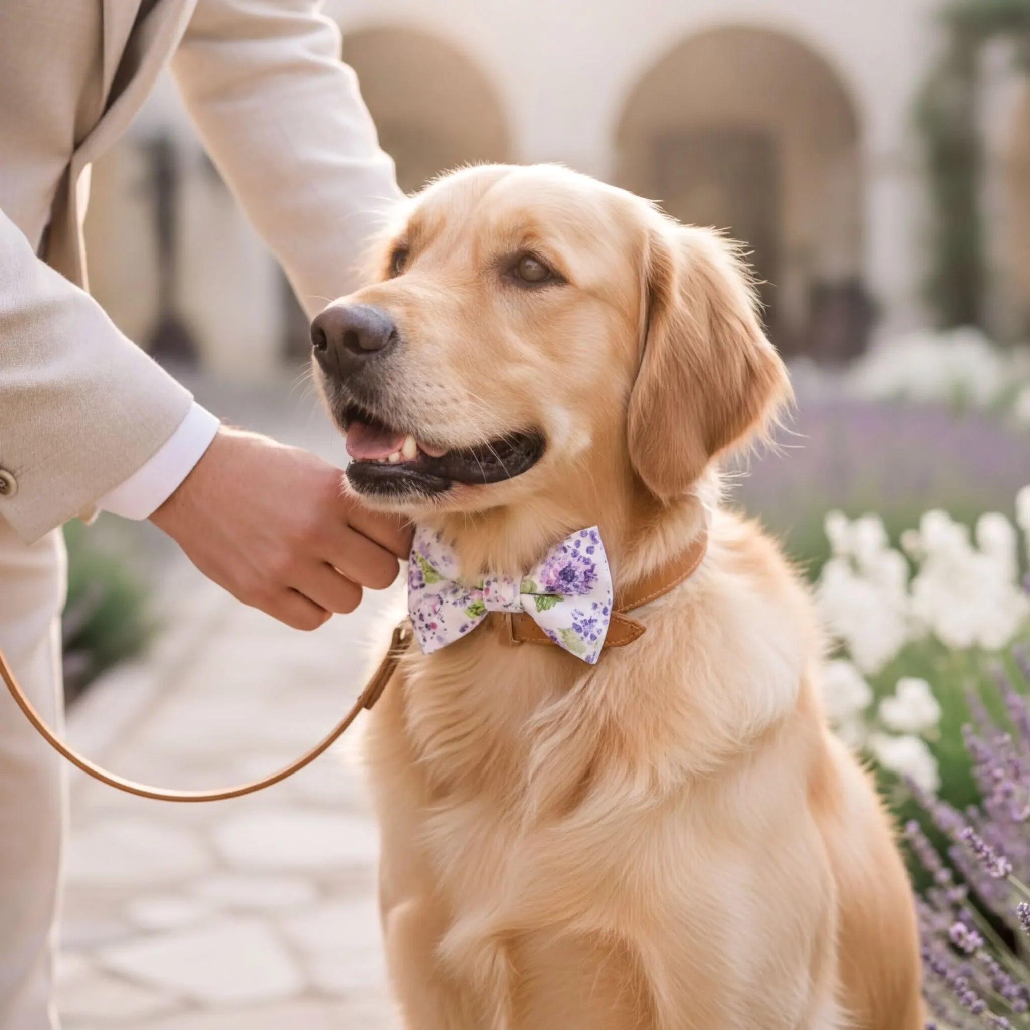 A golden retriever wearing a floral bow tie is being petted by a person in a light-colored suit.