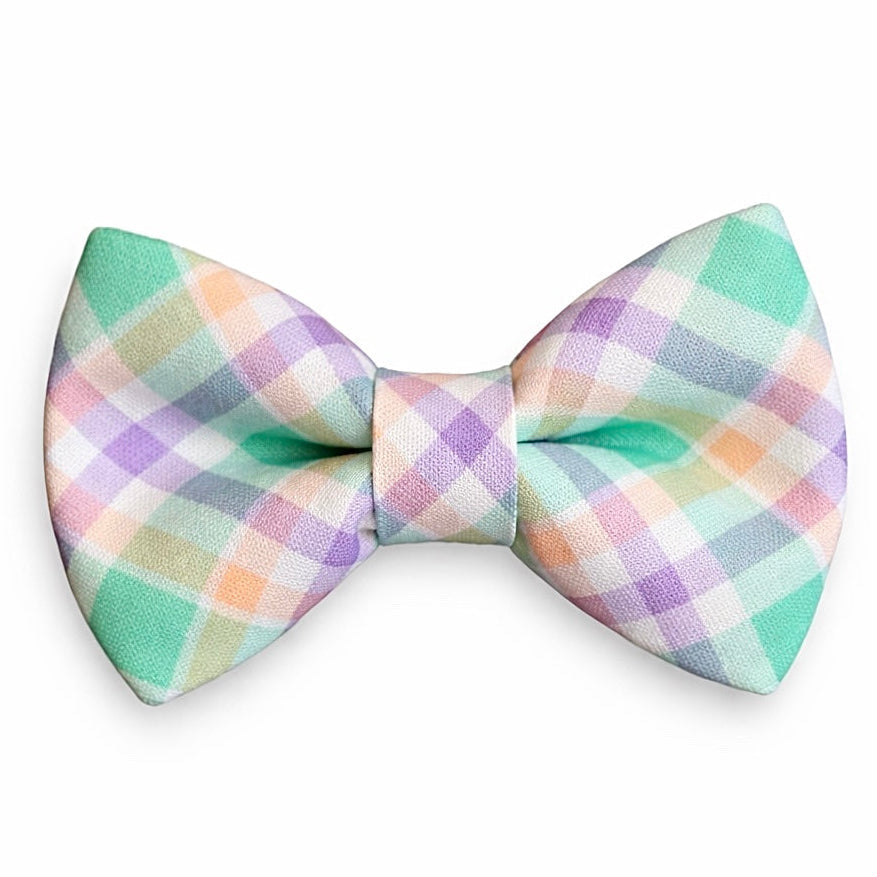 Easter Pastel plaid bow tie on a white background
