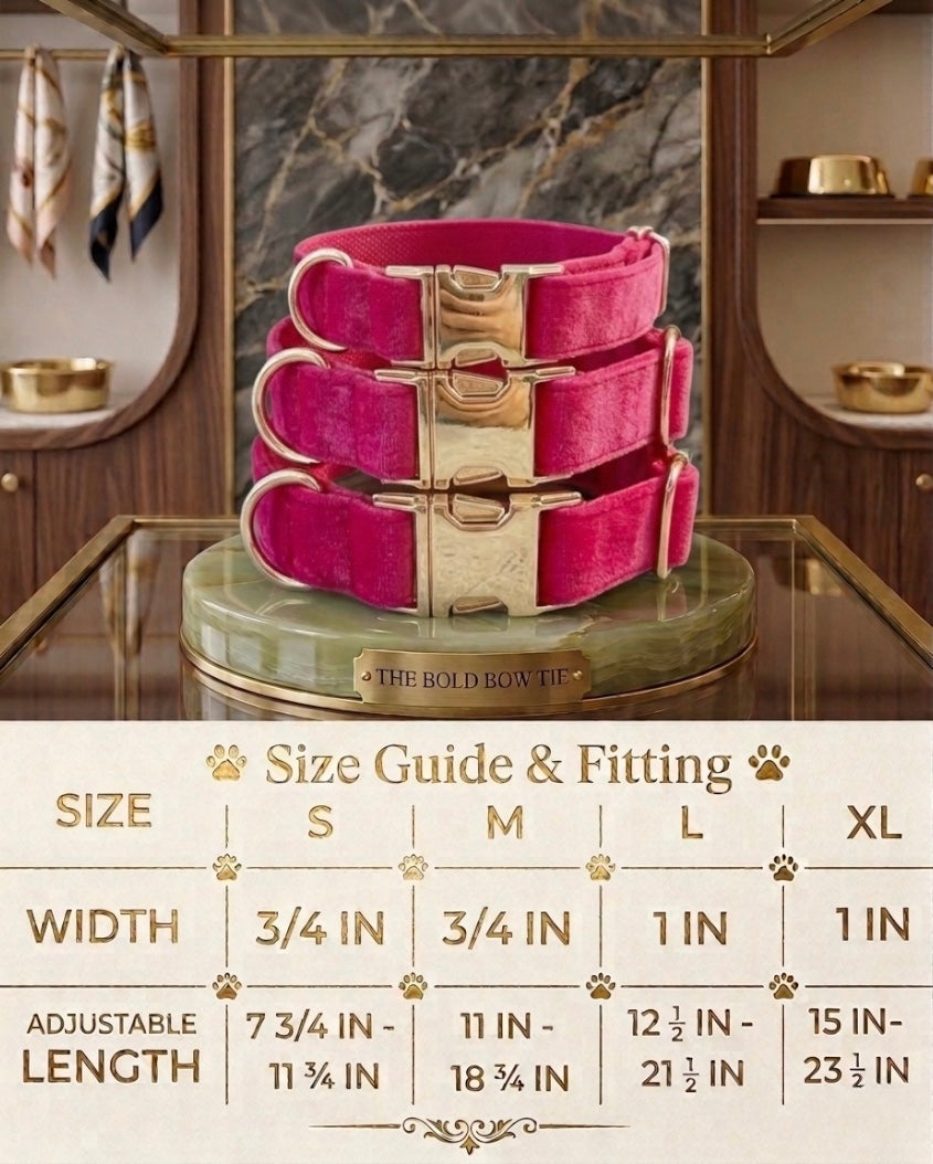 Velvet dog collars with gold buckle hardware arranged above a sizing chart. The chart details four sizes: Small has a width of 3/4 inch and an adjustable length of 7 3/4 to 11 3/4 inches. Medium has a width of 3/4 inch and an adjustable length of 11 to 18 3/4 inches. Large has a width of 1 inch and an adjustable length of 12 1/2 to 21 1/2 inches. Extra Large has a width of 1 inch and an adjustable length of 15 to 23 1/2 inches