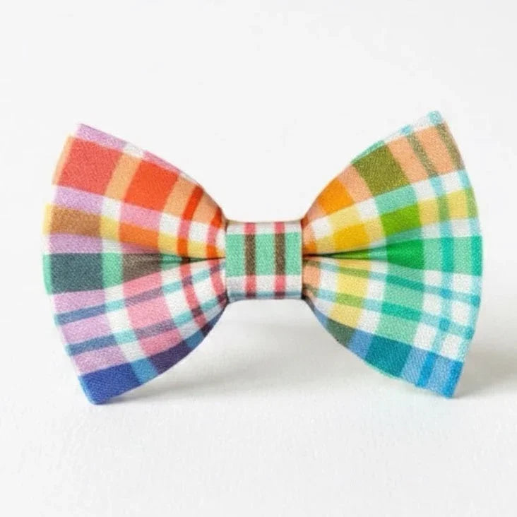 Rainbow Dog Bow Tie for Collar Accessory- Gay Pride and LGBTQ appreciation.