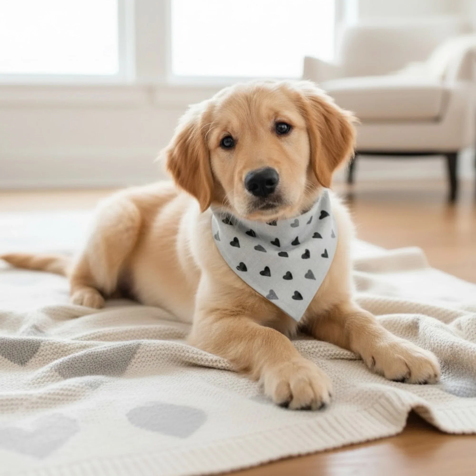 Size chart for dog bandanas from The Bold Bow Tie detailing measurements for Small, Medium, Large, and X-Large sizes. Small fits neck sizes 11 to 13 inches with a width of 7 inches and length of 5 inches. Medium fits neck sizes 13 to 16 inches with a width of 9 inches and length of 6 inches. Large fits neck sizes 16 to 21 inches with a width of 11 inches and length of 8 inches. X-Large fits neck sizes 21 to 25 inches with a width of 13 inches and length of 9 inches.