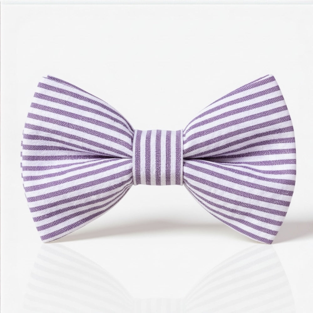 Purple and white striped bow tie on a white background