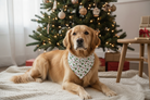 Dog wearing a Christmas bandana in front of a decorated Christmas tree.