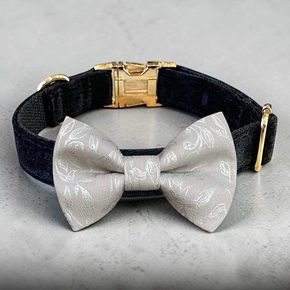 Black velvet Dog collar with silver dog bowtie, gold buckle on a gray background.