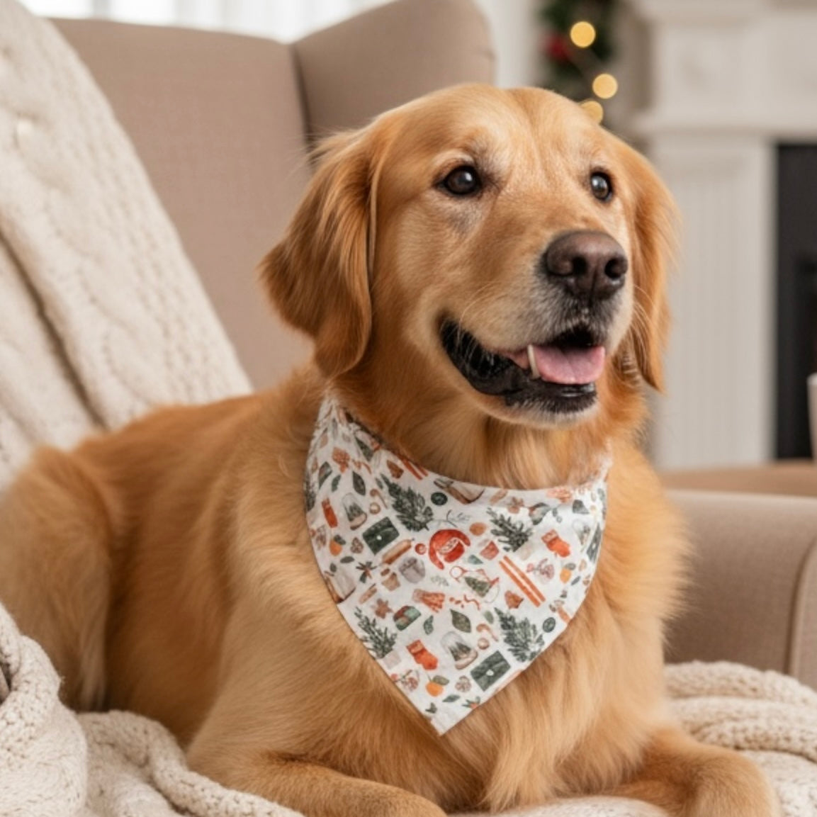 Dog wearing a Christmas bandana sitting on a couch with a fireplace in the background