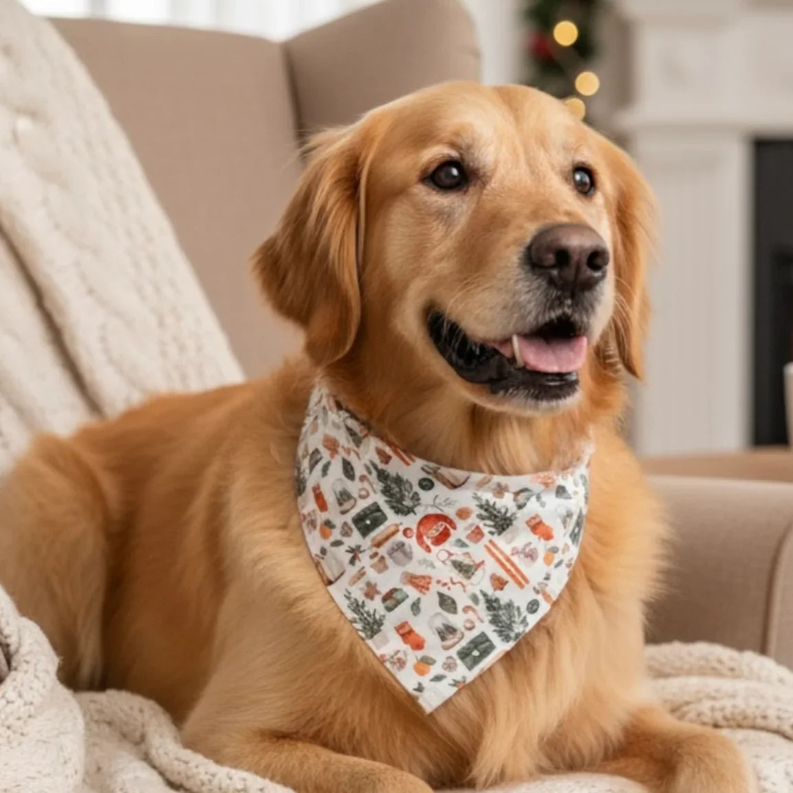 Winter dog bandana for Christmas worn by a retriever.