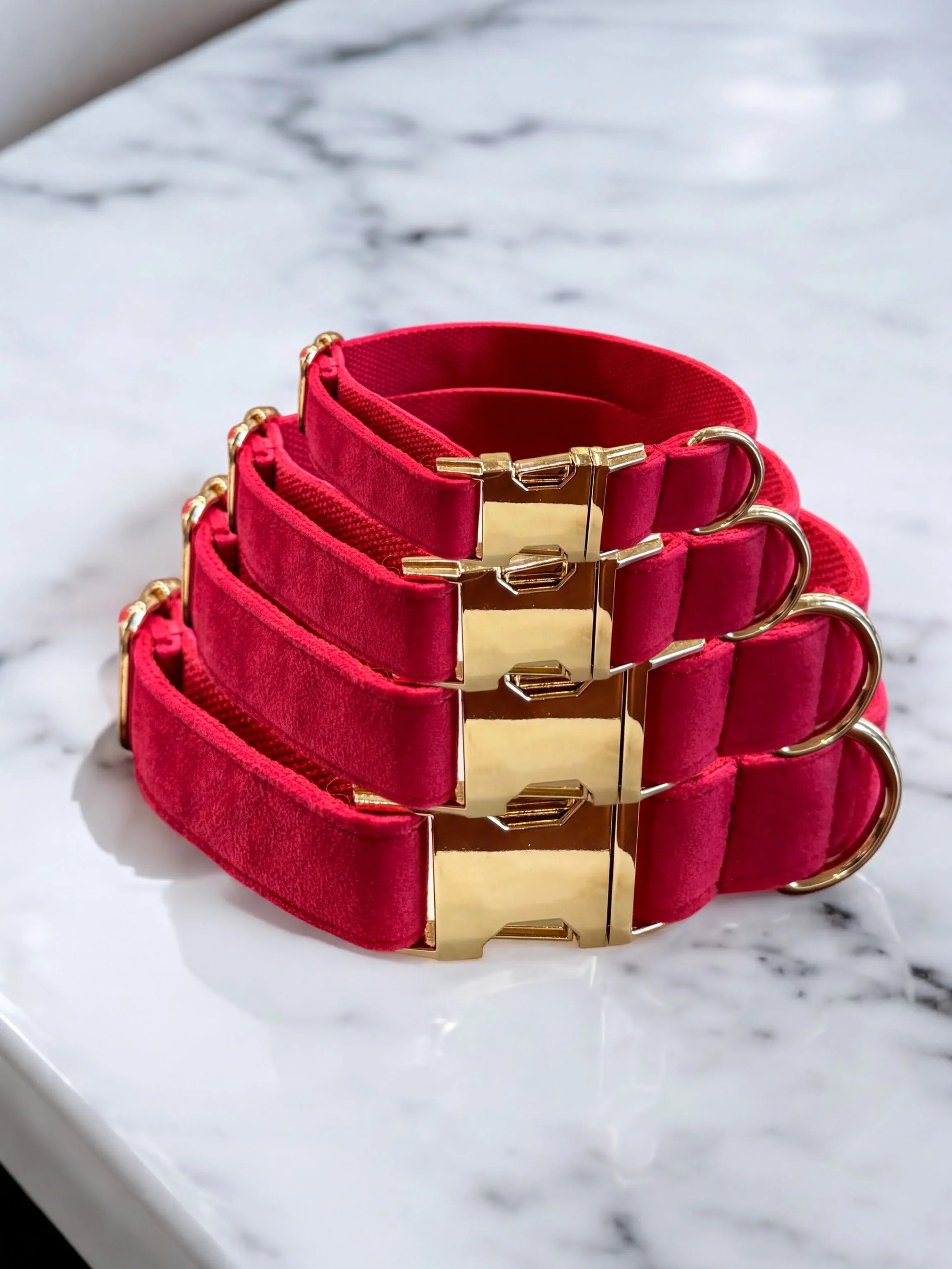 Pink velvet dog collars with gold clasps and D rings