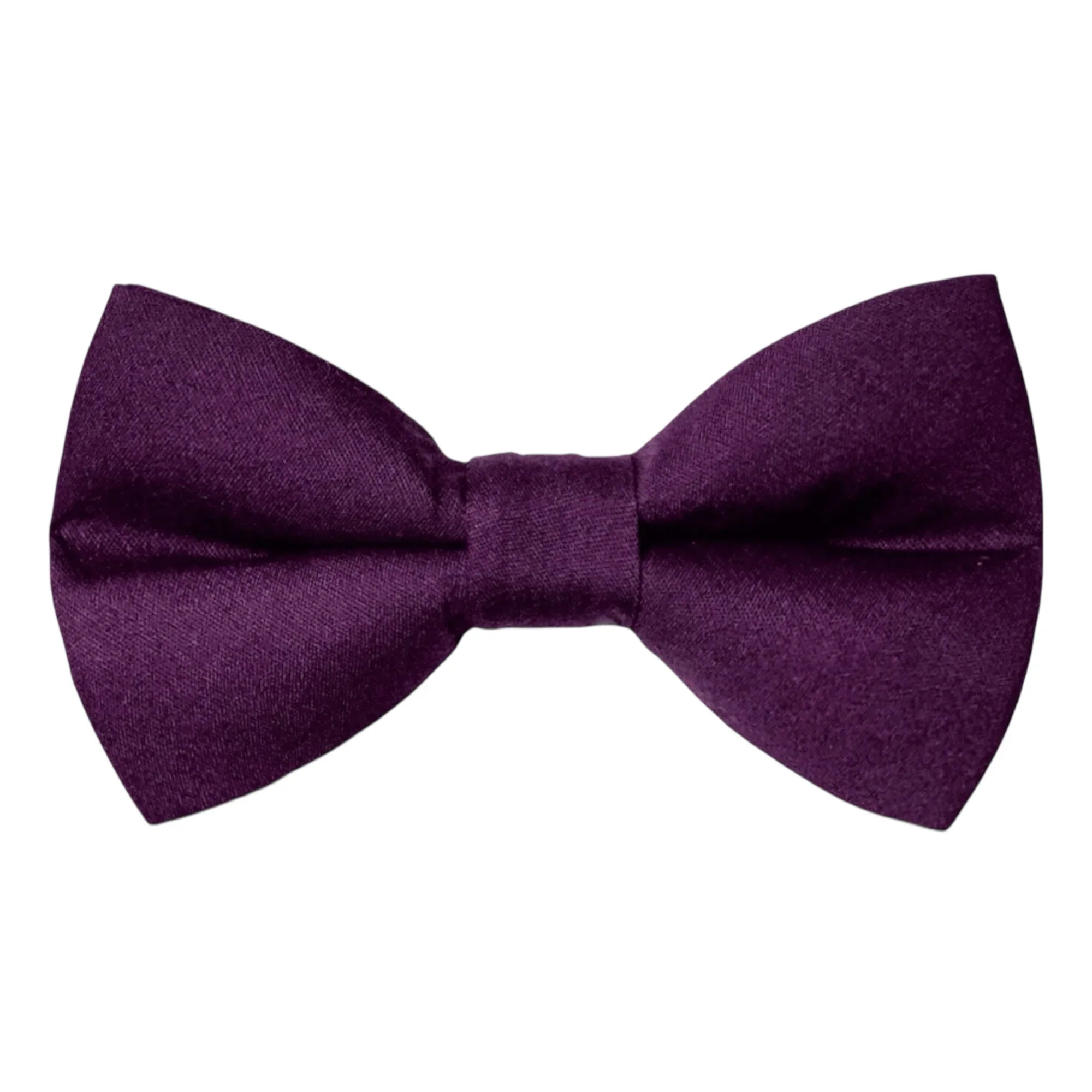 Purple bow tie on a white background