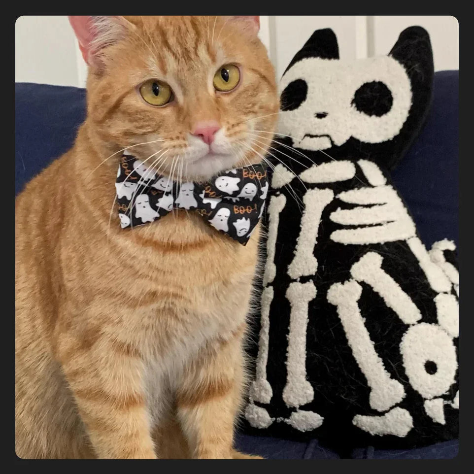 Halloween cat bow tie with ghosts in black and white.