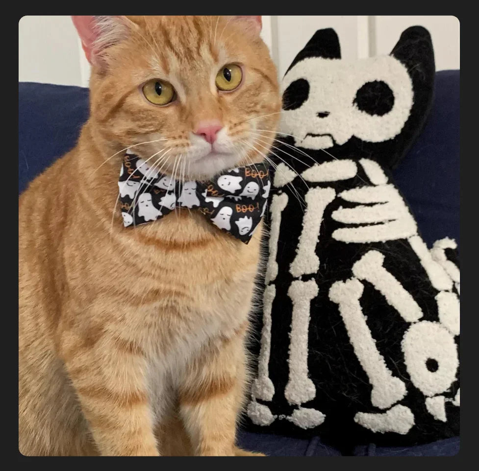 Halloween cat bow tie with ghosts in black and white.
