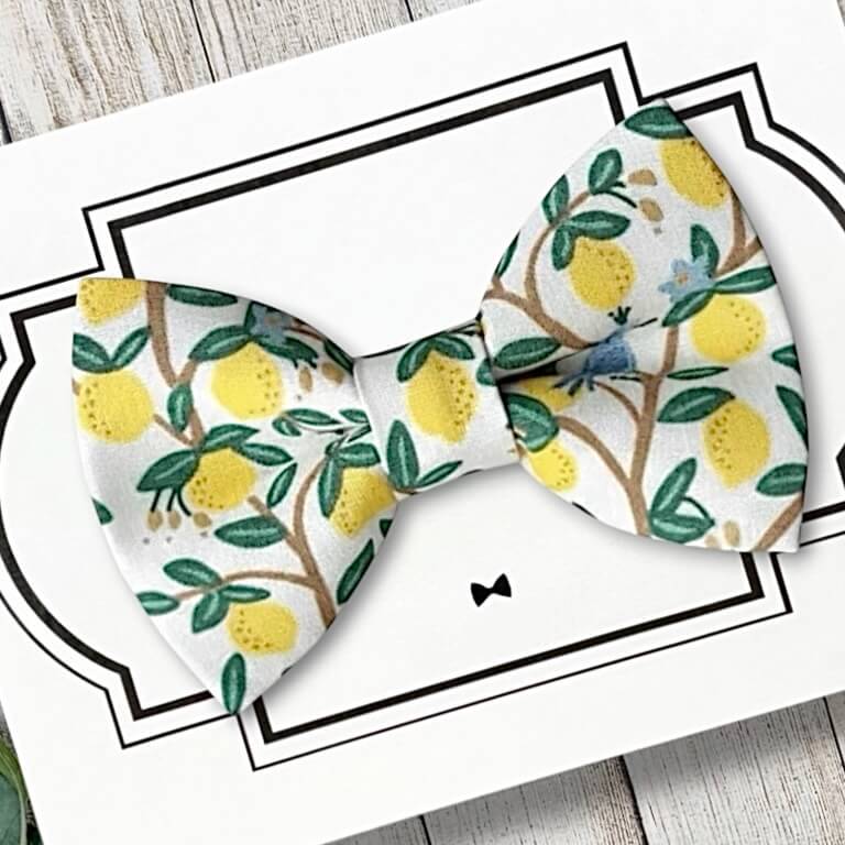 Lemon dog bow tie or cat bow tie for collar accessory.