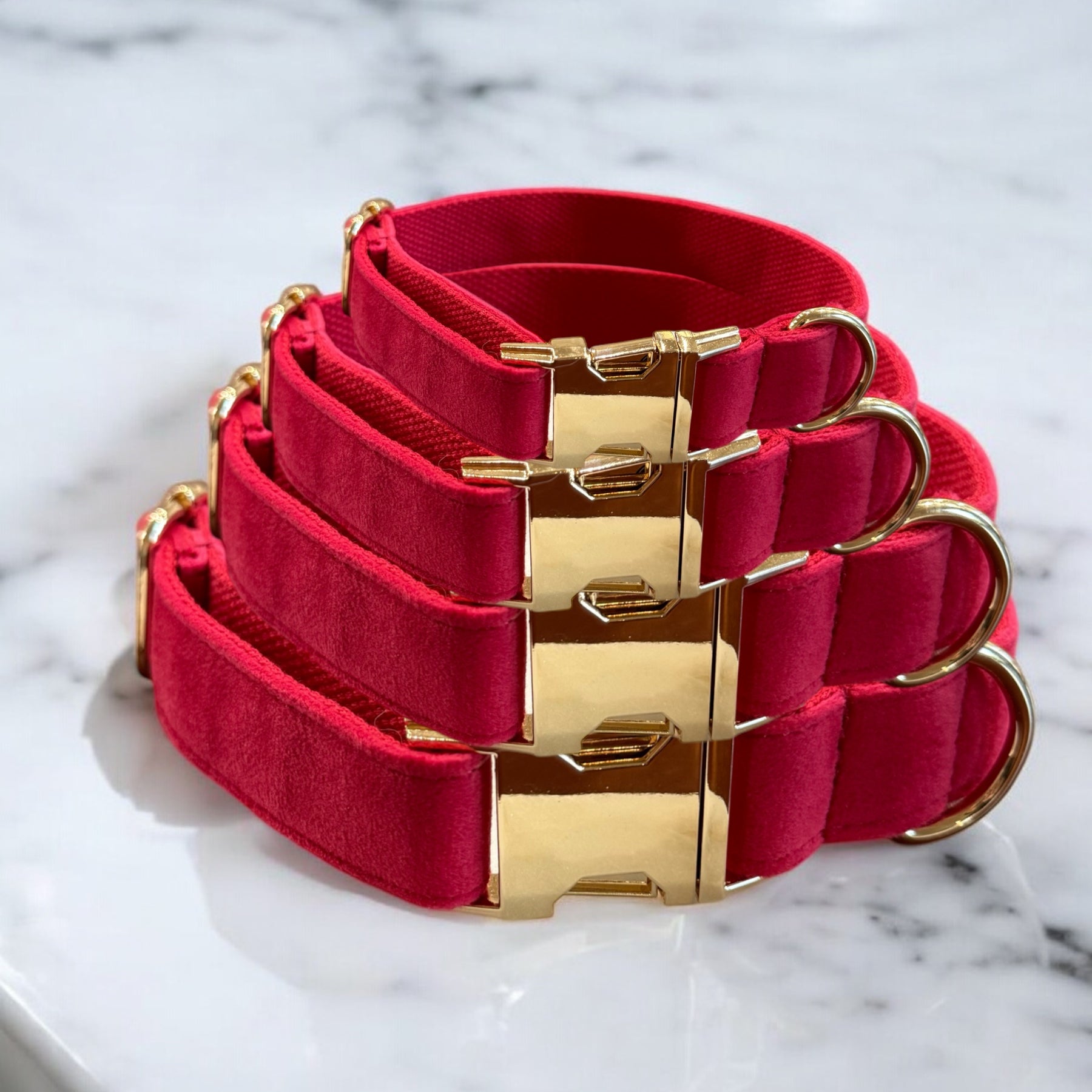 Pink velvet dog collars with gold clasps and D rings