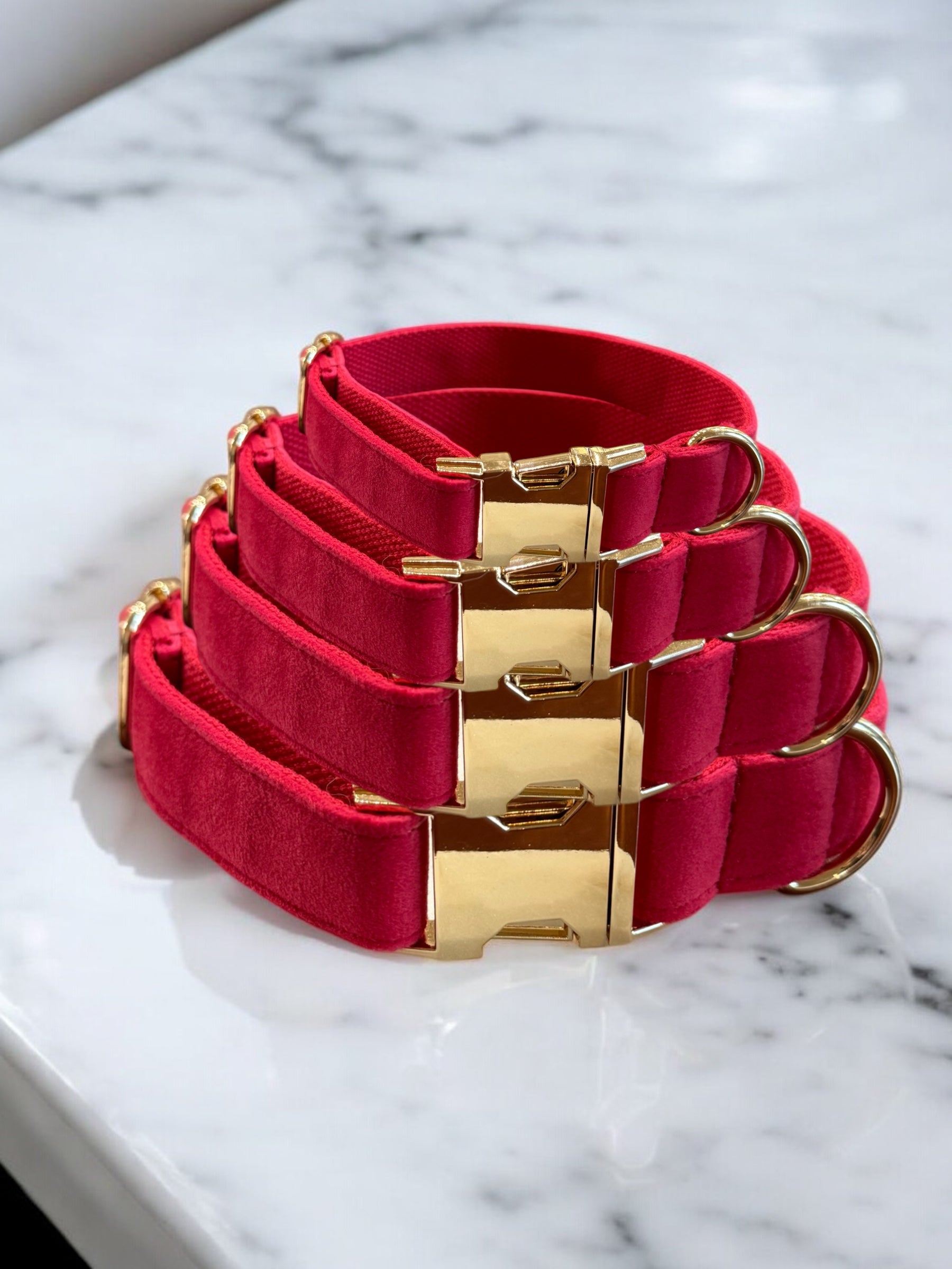 Pink velvet dog collars with gold clasps and D rings