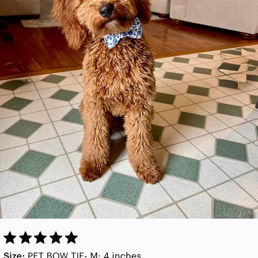 5 Star Review for The Bold Bow Tie