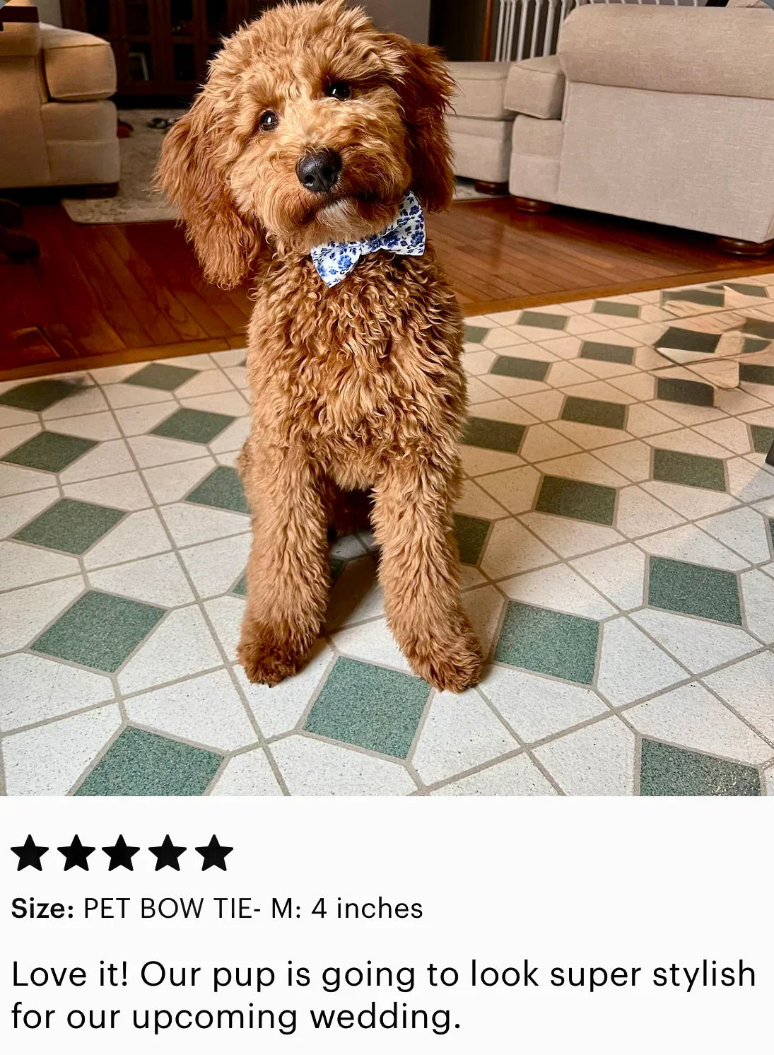 5 Star Review for The Bold Bow Tie