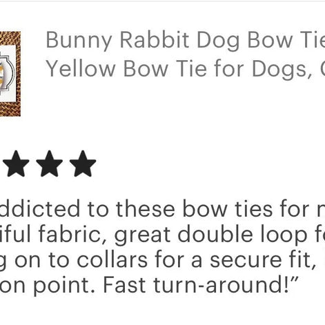 5 star review of dog bow tie
