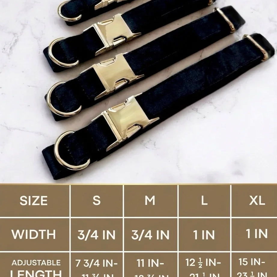 Four velvet dog collars with gold buckle hardware arranged above a sizing chart. The chart details four sizes: Small has a width of 3/4 inch and an adjustable length of 7 3/4 to 11 3/4 inches. Medium has a width of 3/4 inch and an adjustable length of 11 to 18 3/4 inches. Large has a width of 1 inch and an adjustable length of 12 1/2 to 21 1/2 inches. Extra Large has a width of 1 inch and an adjustable length of 15 to 23 1/2 inches