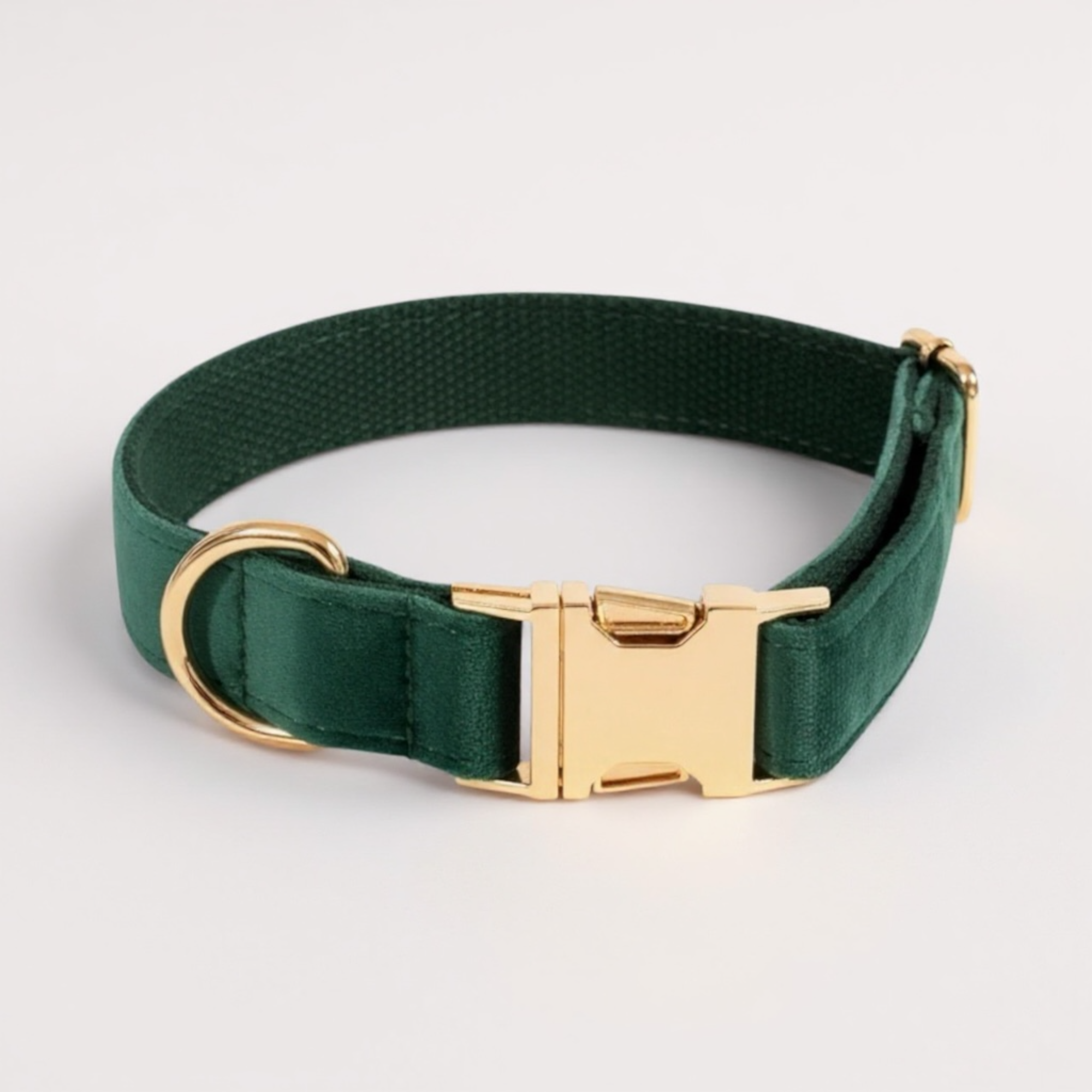 Green dog collar with a gold buckle on a light gray background