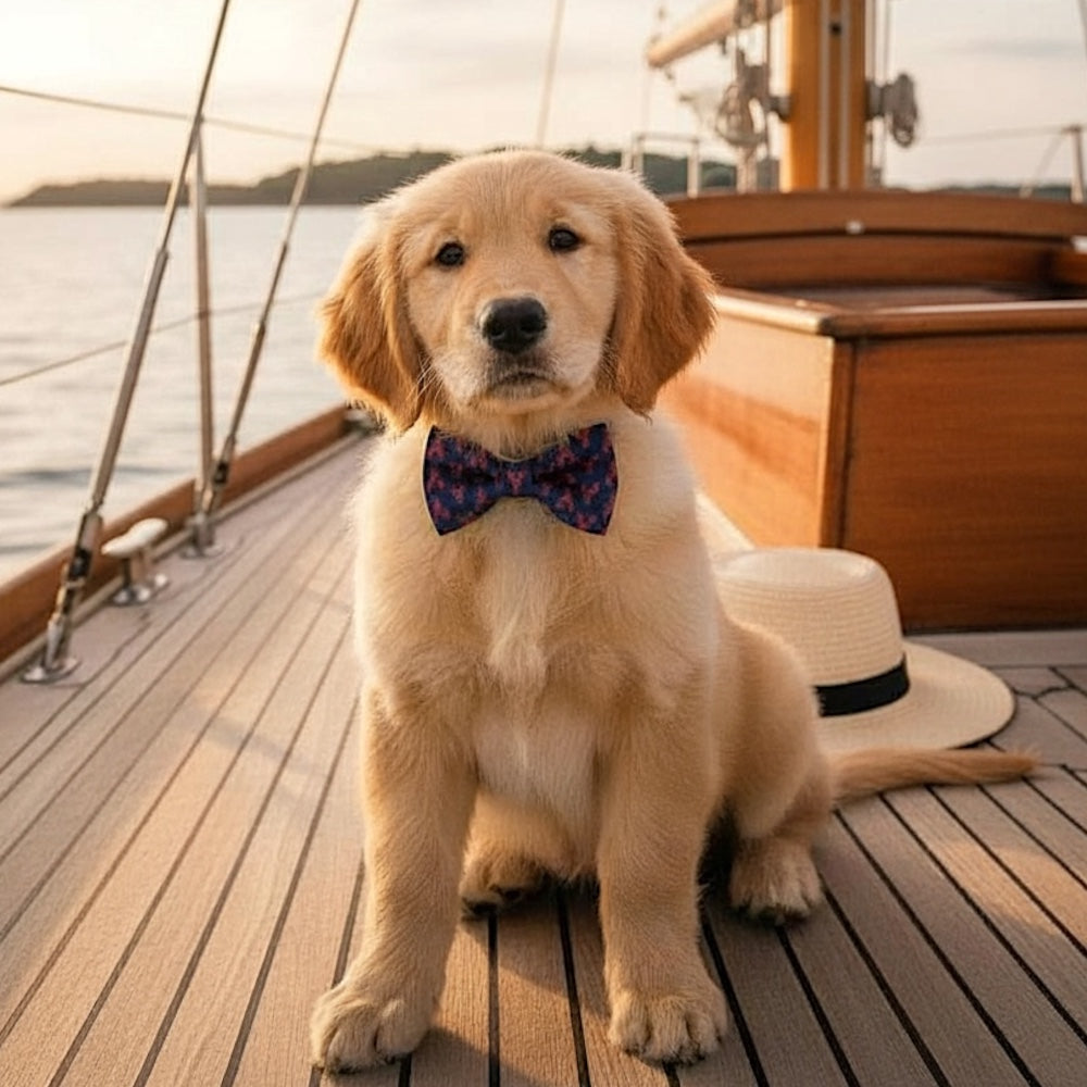 Preppy Navy Nautical Dog Bow Tie or Cat Bow Tie with Lobsters Worn by a puppy on a sailboat.