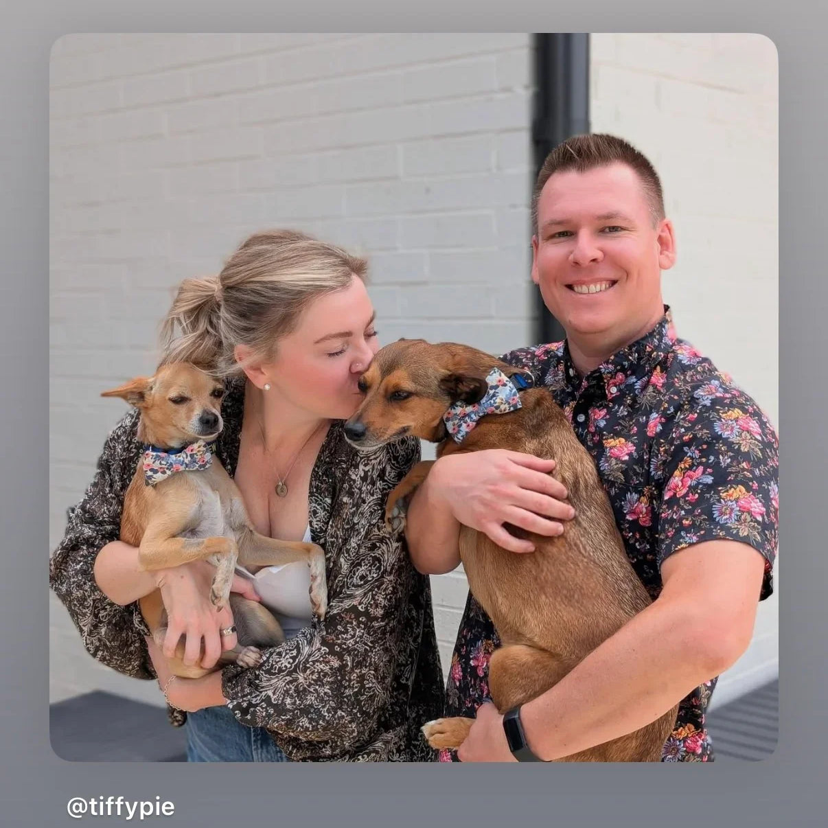 Floral dog bow ties on two dogs in engagement photos with a couple.