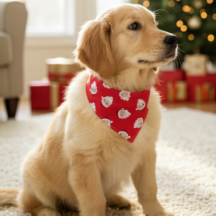 Puppy in a Christmas dog bandana.