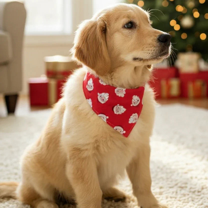 Christmas dog bandana with Santa Claus heads in red and white.