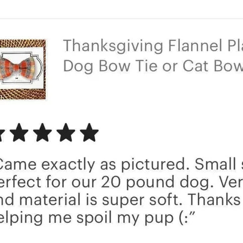 5 star review for Thanksgiving dog bow tie