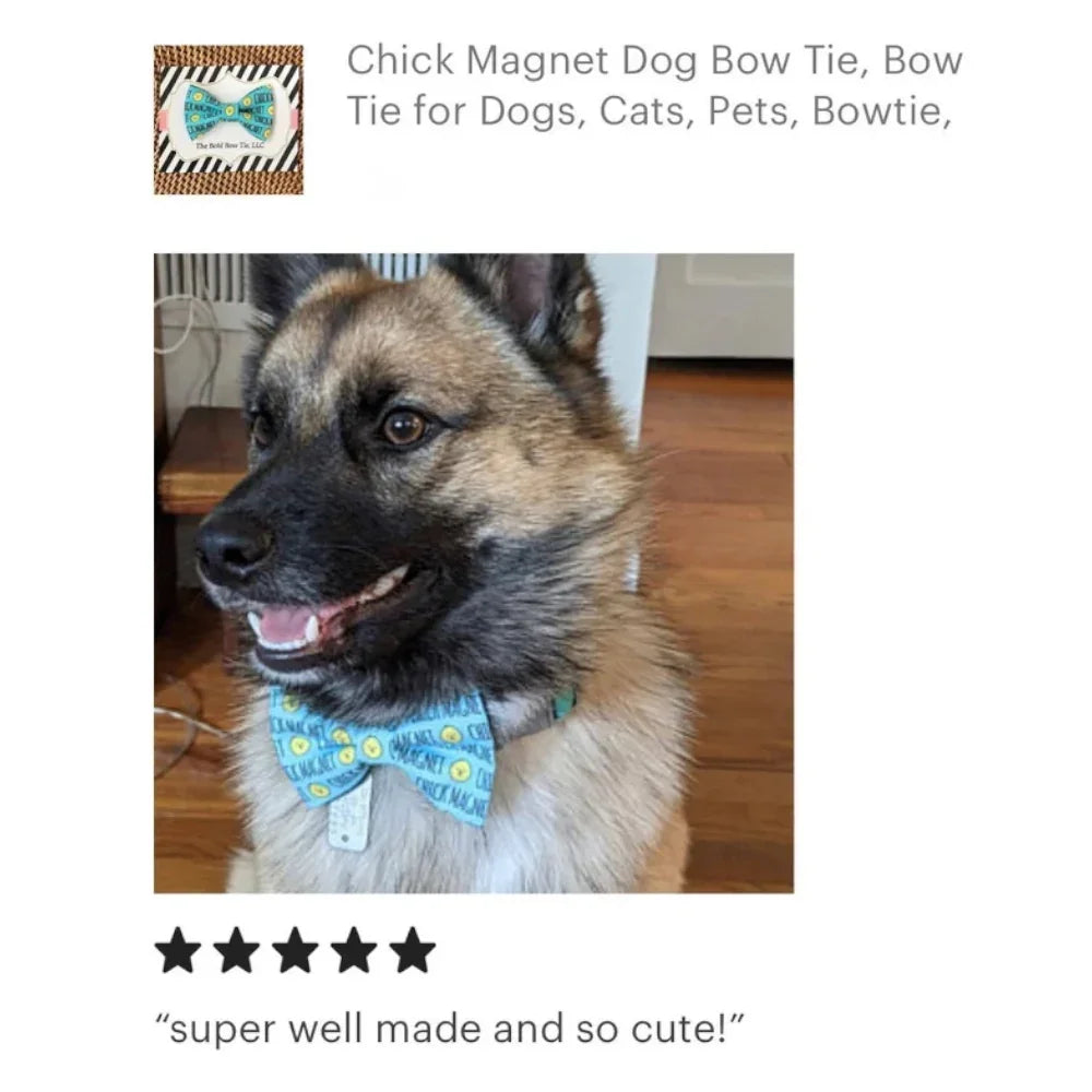 Dog wearing a blue magnet pattern bow tie in a product photo.