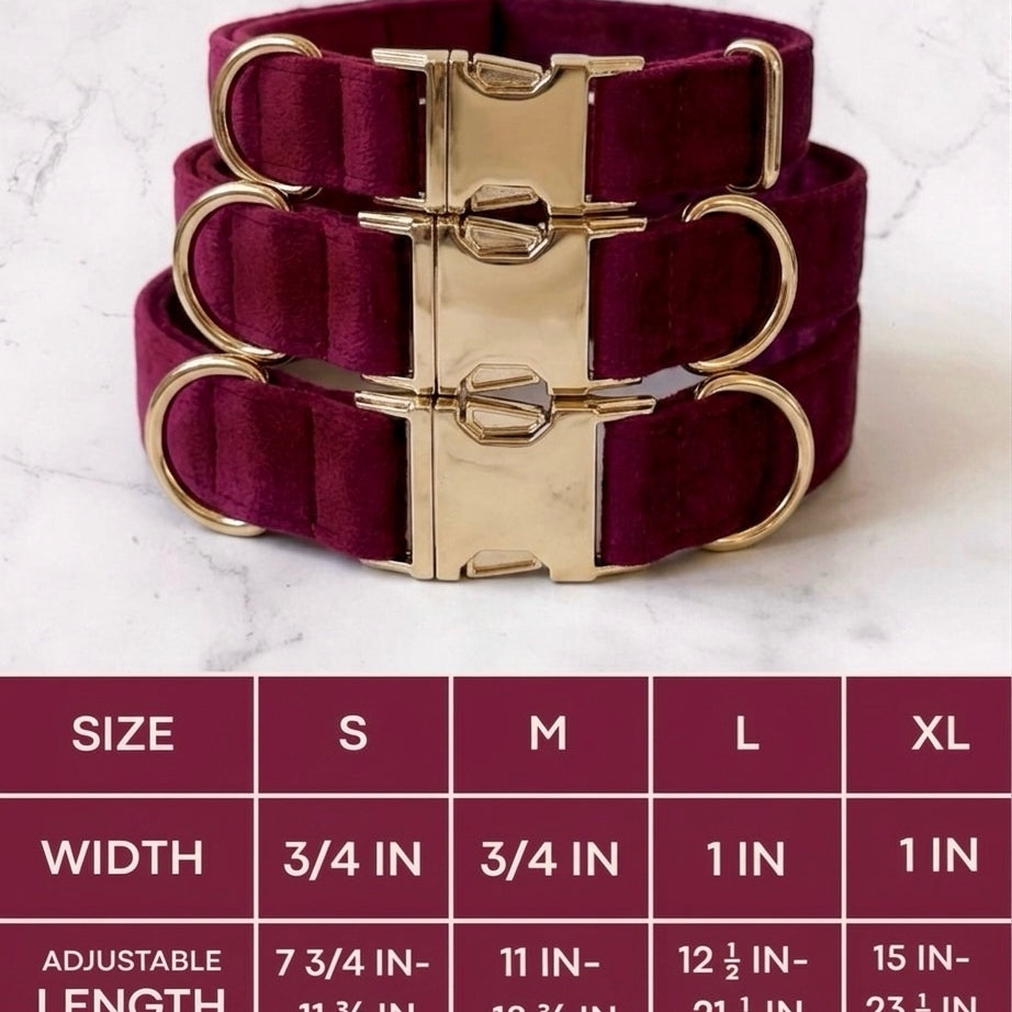 Three velvet dog collars with gold buckle hardware arranged above a sizing chart. The chart details four sizes: Small has a width of 3/4 inch and an adjustable length of 7 3/4 to 11 3/4 inches. Medium has a width of 3/4 inch and an adjustable length of 11 to 18 3/4 inches. Large has a width of 1 inch and an adjustable length of 12 1/2 to 21 1/2 inches. Extra Large has a width of 1 inch and an adjustable length of 15 to 23 1/2 inches.