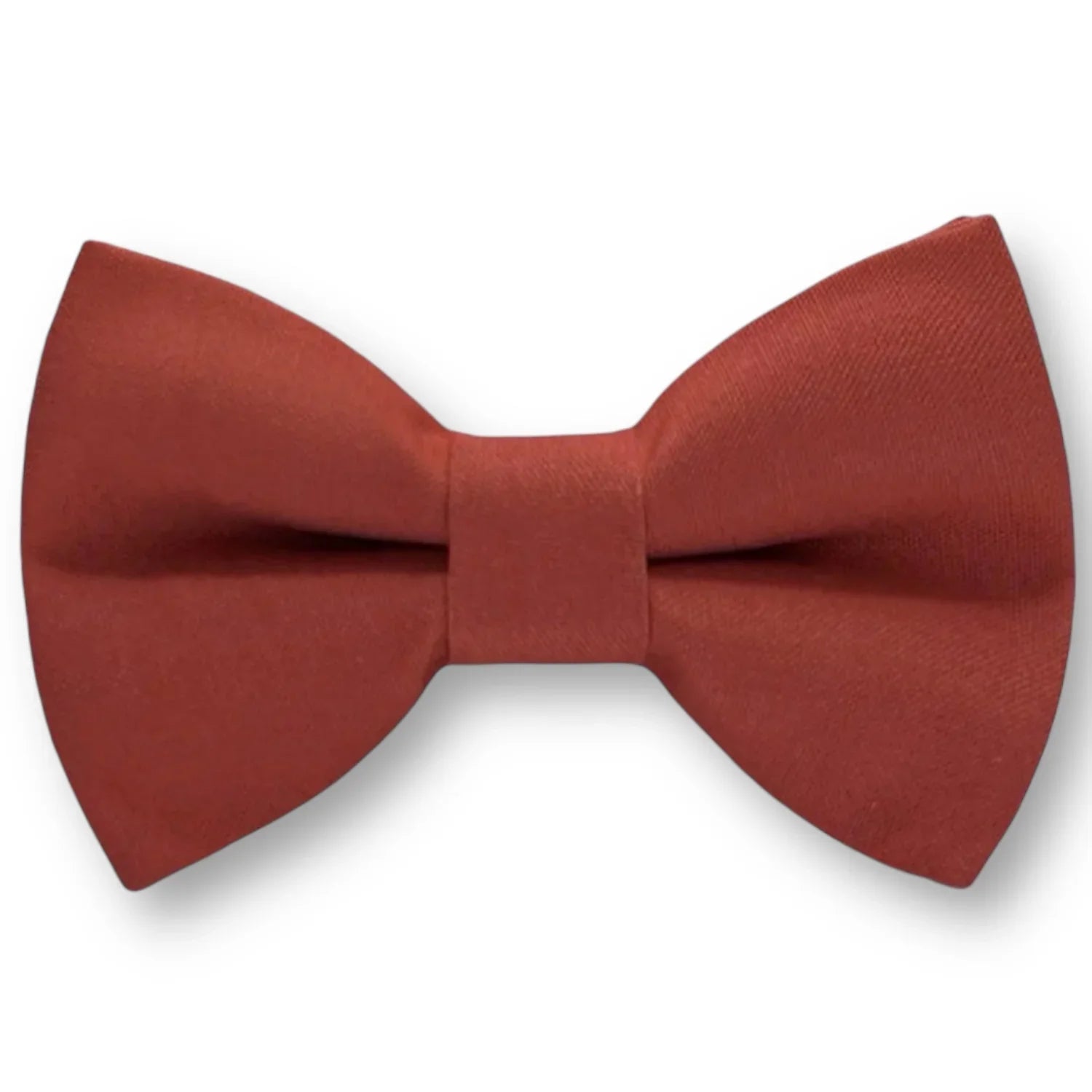 Burnt orange bow tie on a white background