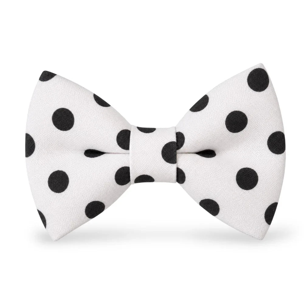 Polka dot bowtie for men boys and toddlers in white with black dots.