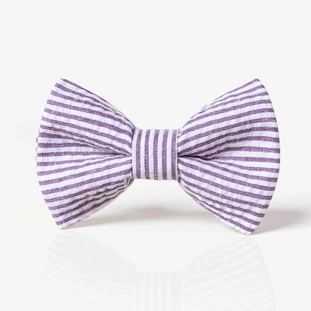 Striped purple and white bow tie on a light gray background