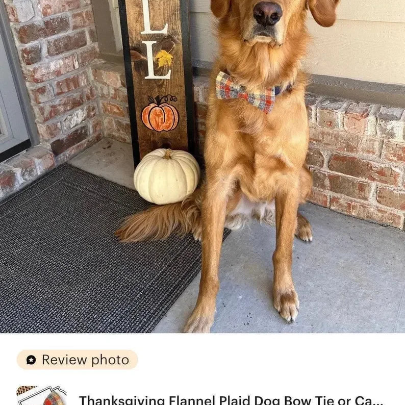 Dog bow tie in orange plaid for autumn and Thanksgiving dog collar accessory