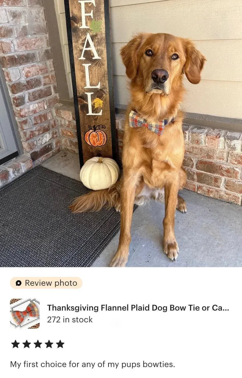 Dog bow tie in orange plaid for autumn and Thanksgiving dog collar accessory
