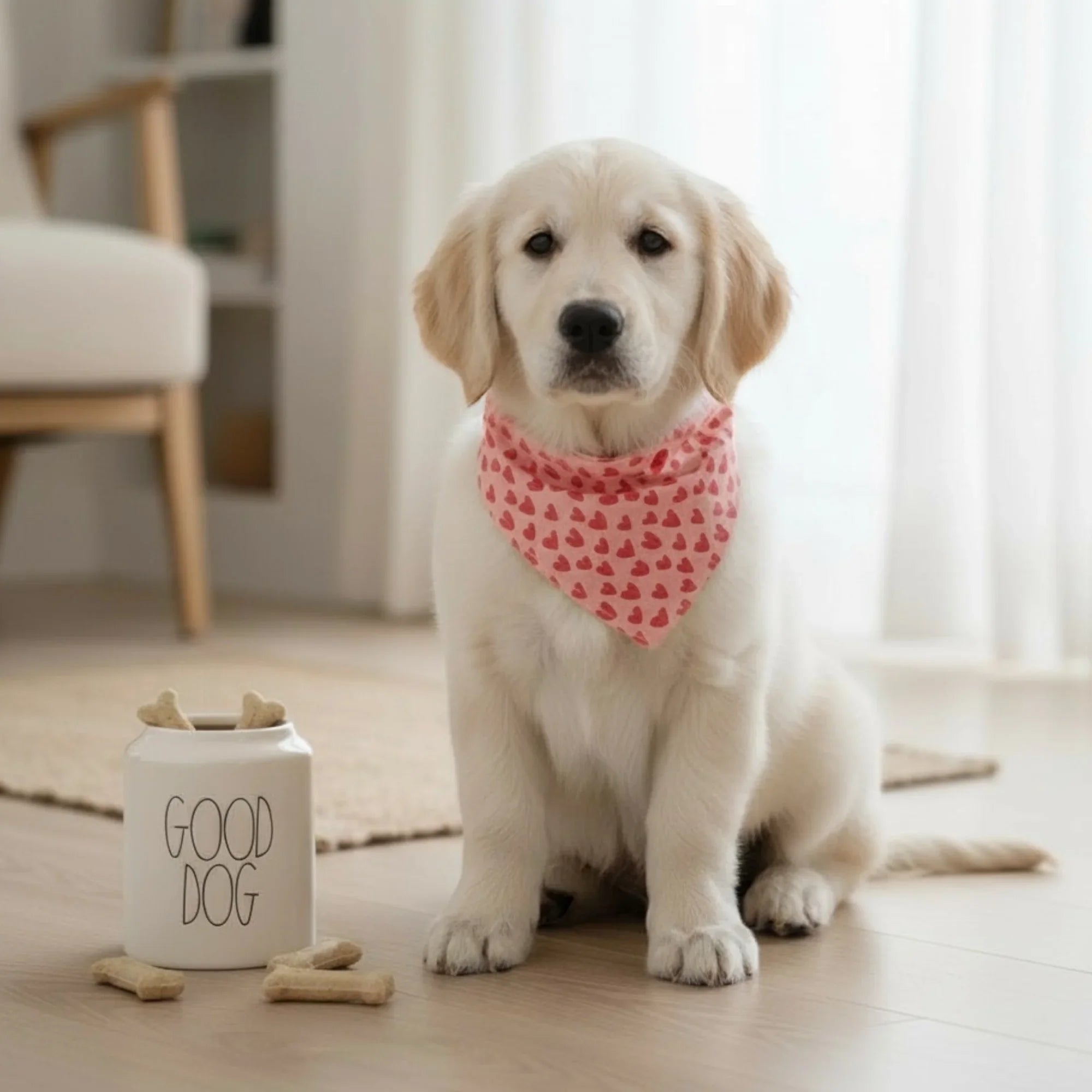 Dog wearing a pink Valentines dog bandana sitting on a wooden floor with a 'Good Dog' treat container.