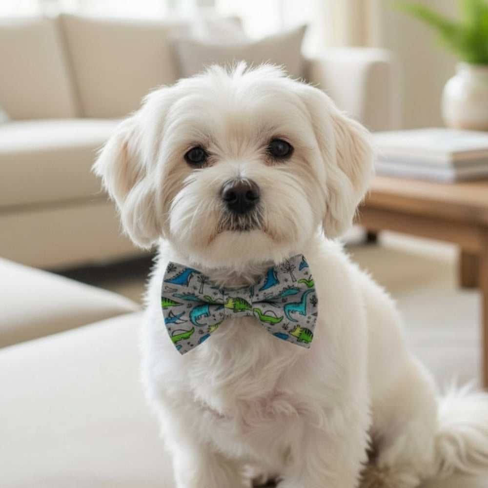 Small white dog wearing a blue and green dinosaur bow tie in a living room setting