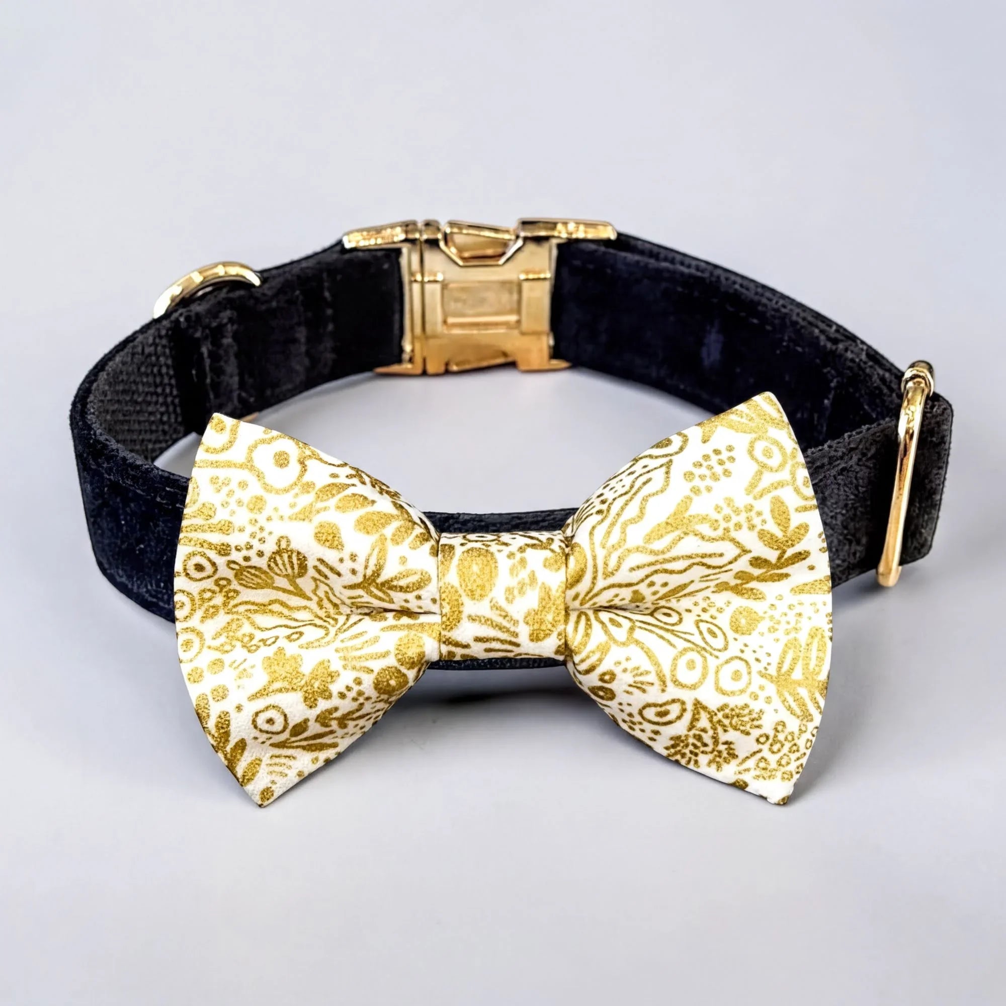 Gold dog bow tie on black velvet bow tie dog collar.