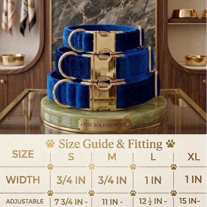 Velvet dog collars with gold buckle hardware arranged above a sizing chart. The chart details four sizes: Small has a width of 3/4 inch and an adjustable length of 7 3/4 to 11 3/4 inches. Medium has a width of 3/4 inch and an adjustable length of 11 to 18 3/4 inches. Large has a width of 1 inch and an adjustable length of 12 1/2 to 21 1/2 inches. Extra Large has a width of 1 inch and an adjustable length of 15 to 23 1/2 inches