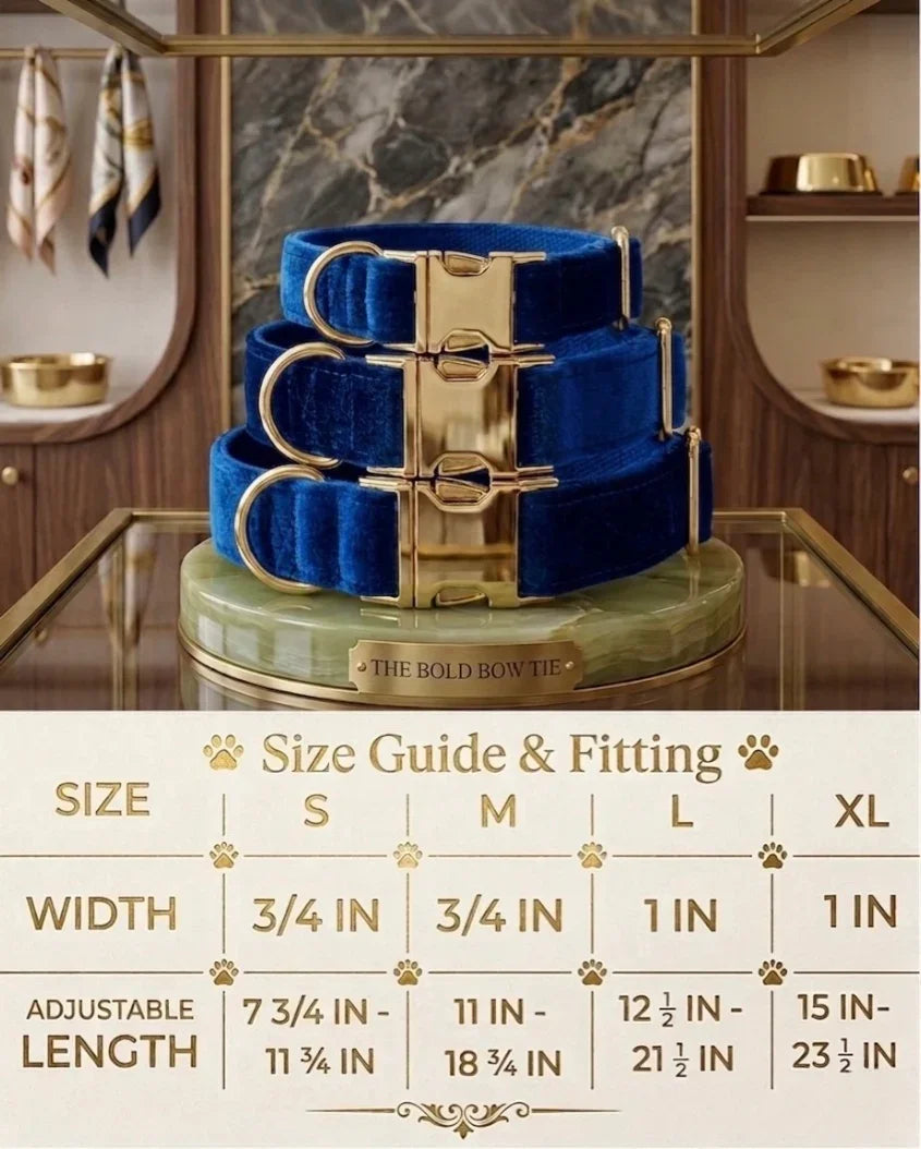 Velvet dog collars with gold buckle hardware arranged above a sizing chart. The chart details four sizes: Small has a width of 3/4 inch and an adjustable length of 7 3/4 to 11 3/4 inches. Medium has a width of 3/4 inch and an adjustable length of 11 to 18 3/4 inches. Large has a width of 1 inch and an adjustable length of 12 1/2 to 21 1/2 inches. Extra Large has a width of 1 inch and an adjustable length of 15 to 23 1/2 inches