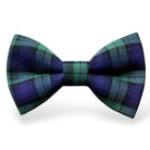 Navy Plaid Bow Tie - Blue and Green Tartan For Christmas and winter weddings.