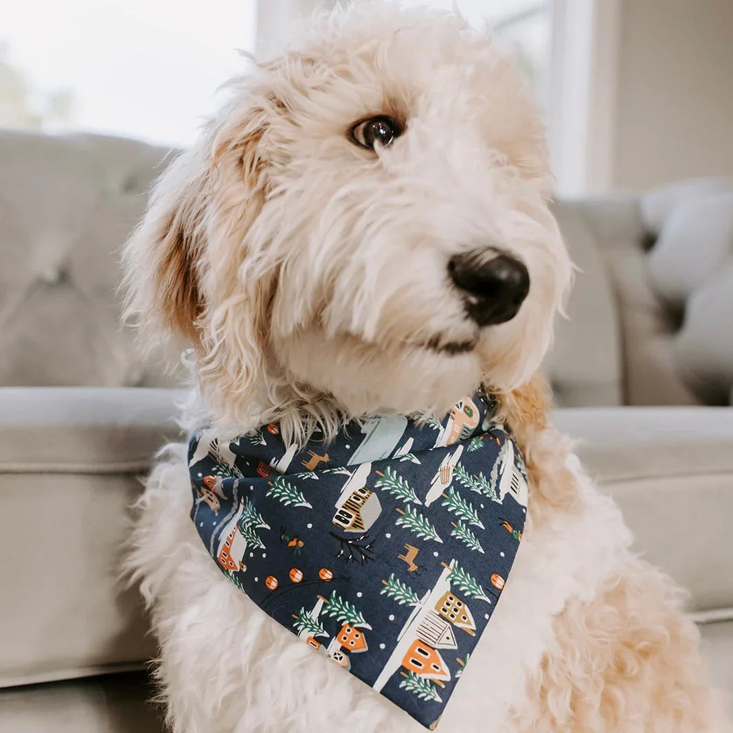 Size chart for dog bandanas from The Bold Bow Tie detailing measurements for Small, Medium, Large, and X-Large sizes. Small fits neck sizes 11 to 13 inches with a width of 7 inches and length of 5 inches. Medium fits neck sizes 13 to 16 inches with a width of 9 inches and length of 6 inches. Large fits neck sizes 16 to 21 inches with a width of 11 inches and length of 8 inches. X-Large fits neck sizes 21 to 25 inches with a width of 13 inches and length of 9 inches.