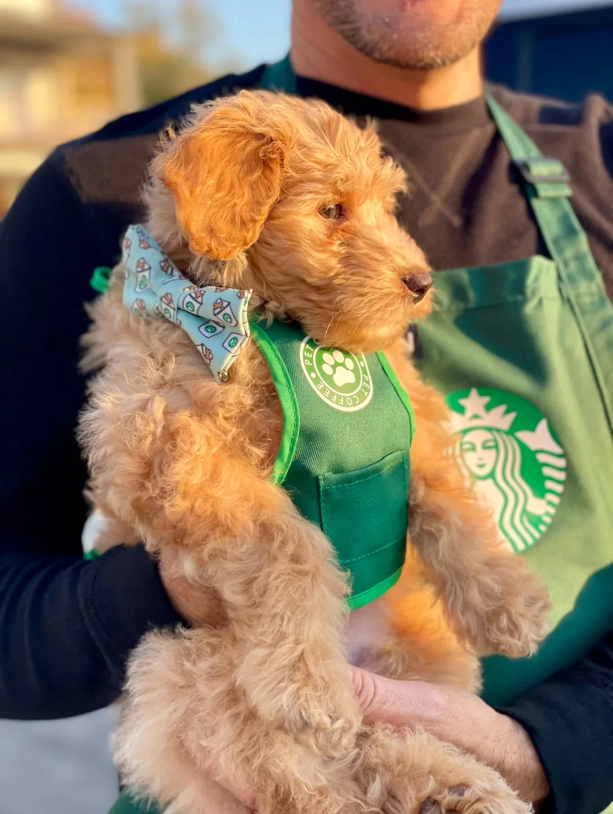 Puppy bow tie with coffee cups on it worn by a dog being carried by a man in a matching outfit.