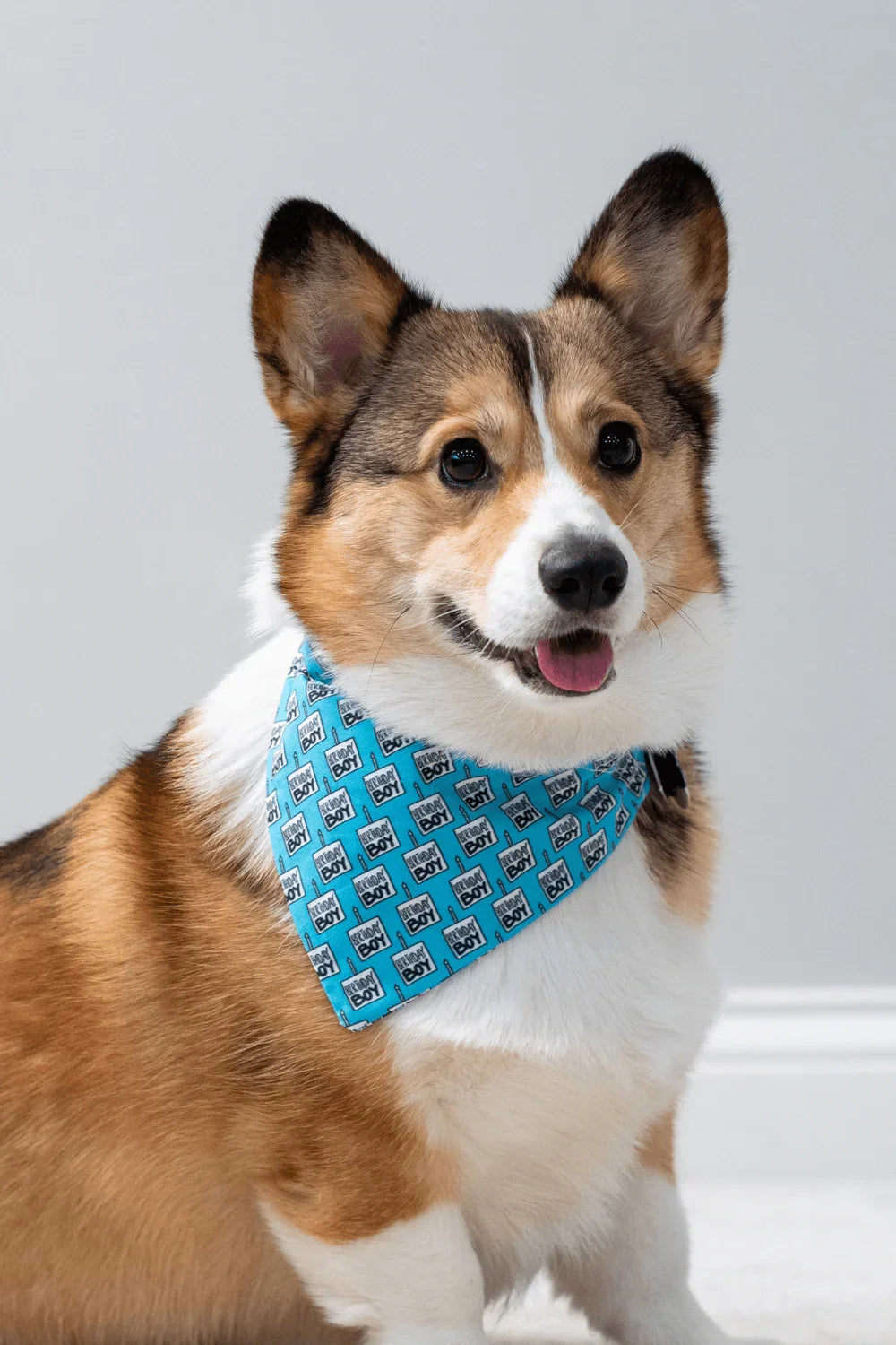 Size chart for dog bandanas from The Bold Bow Tie detailing measurements for Small, Medium, Large, and X-Large sizes. Small fits neck sizes 11 to 13 inches with a width of 7 inches and length of 5 inches. Medium fits neck sizes 13 to 16 inches with a width of 9 inches and length of 6 inches. Large fits neck sizes 16 to 21 inches with a width of 11 inches and length of 8 inches. X-Large fits neck sizes 21 to 25 inches with a width of 13 inches and length of 9 inches.