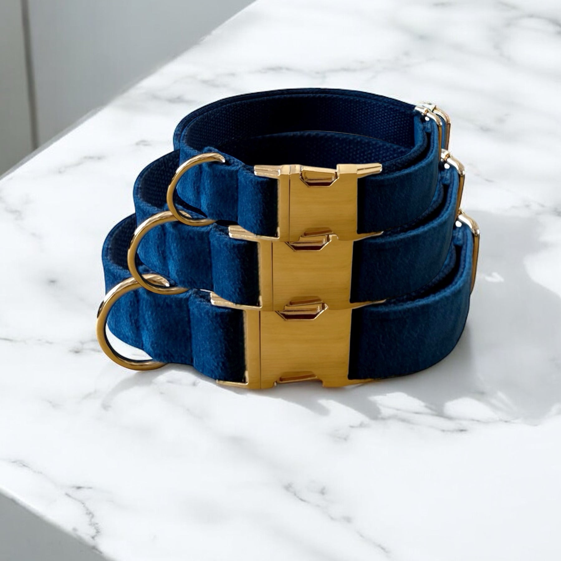 Navy velvet dog collars with gold clasps.