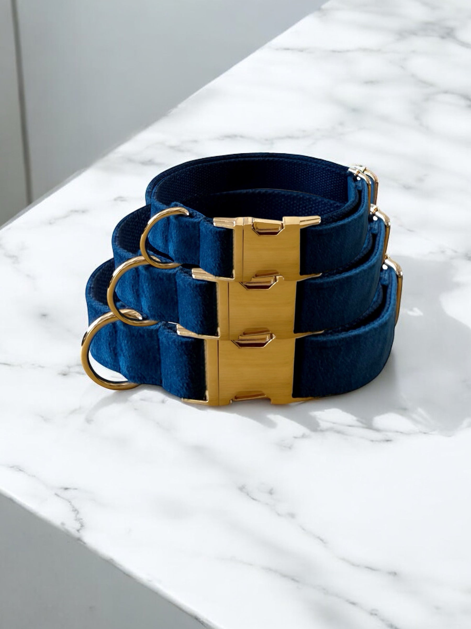 Navy velvet dog collars with gold clasps.