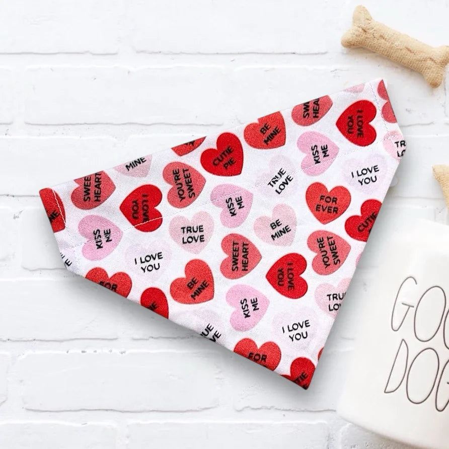 Valentine's Day dog bandana with hearts and a 'Good Dog' mug on a white surface.