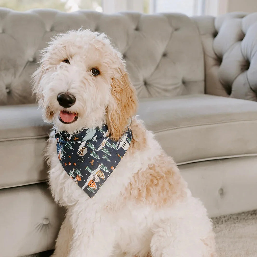 Cream colored dog wearing a navy blue Christmas bandana sits on a gray tufted sofa.
