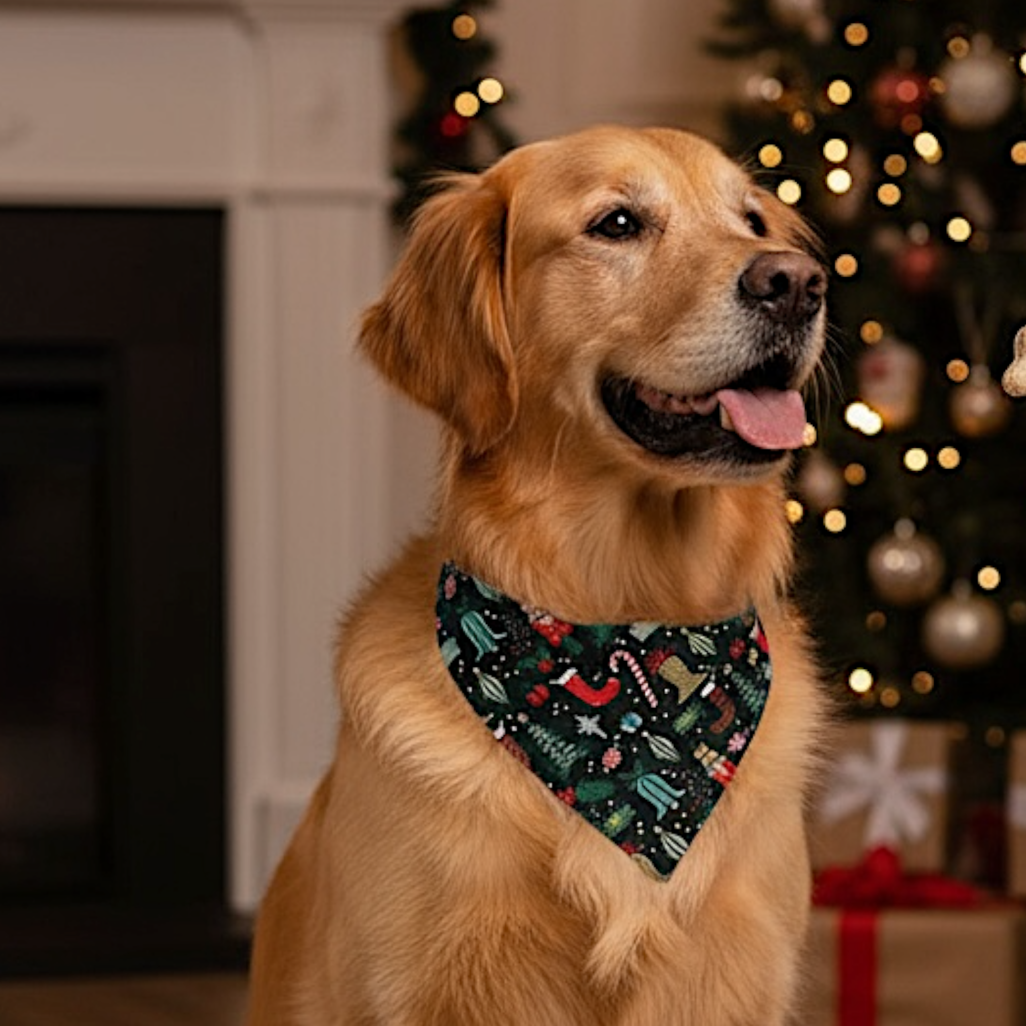 Rifle Paper Fabric Christmas Stockings Dog Bandana or Cat Bandana