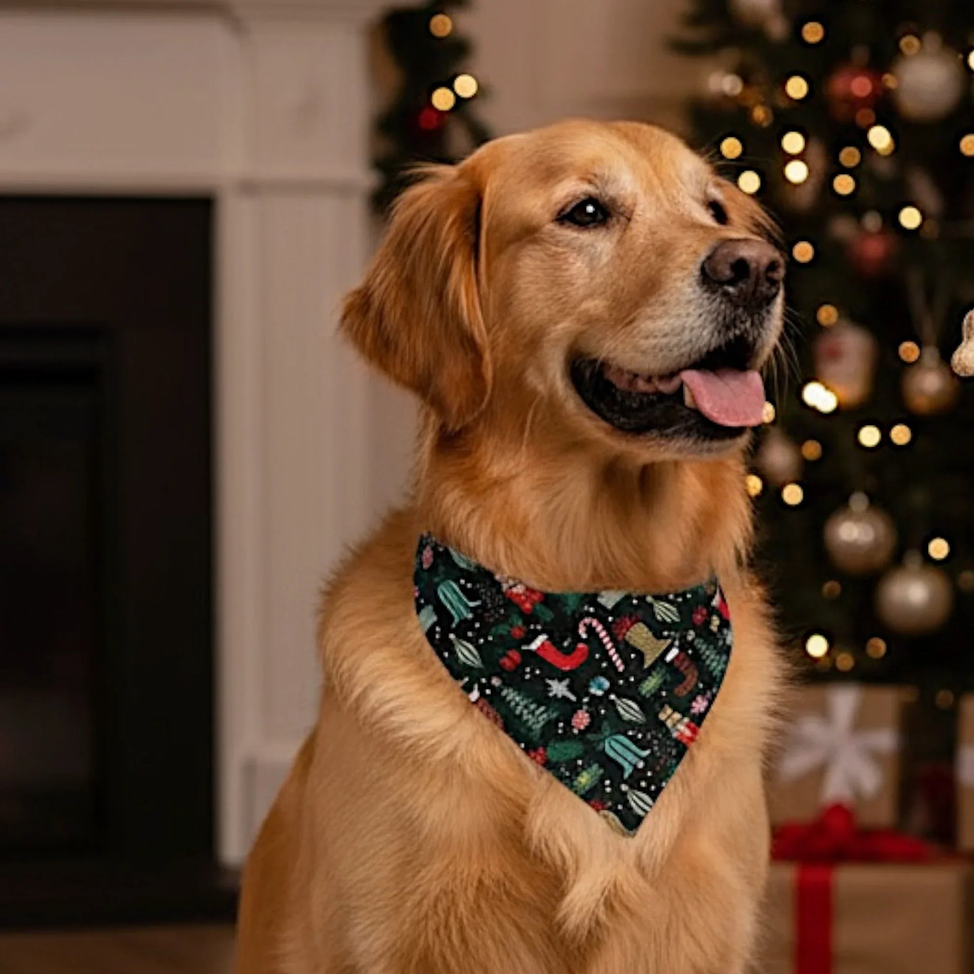 Christmas dog bandana in red green and black by a Christmas tree.