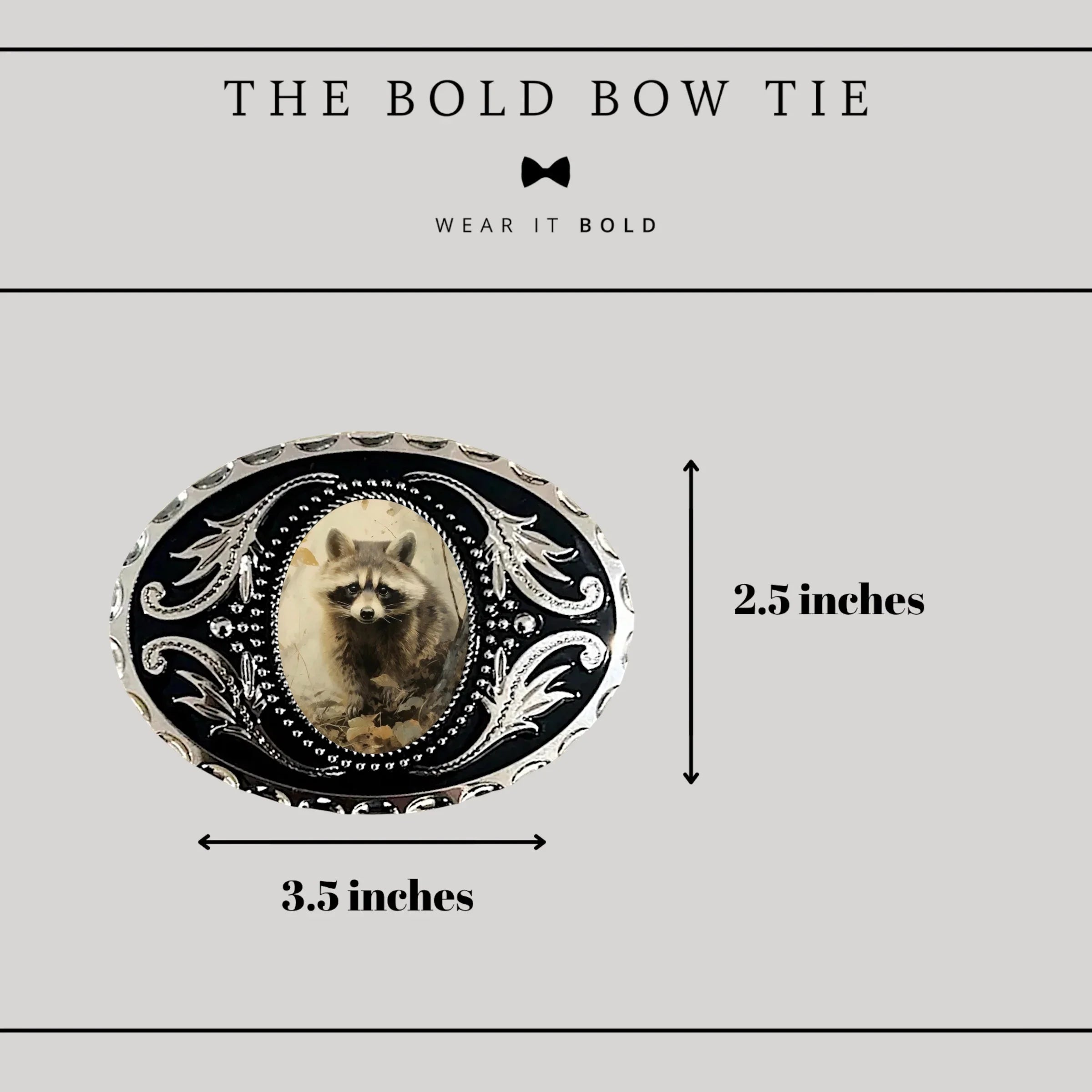 Belt dimensions: 2.5 inches high by 3.5 inches wide